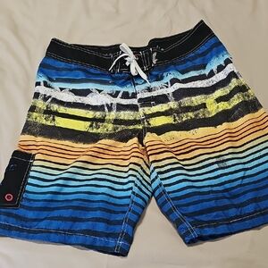 Multicolor Striped Board Shorts